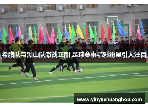 希腊队与黑山队激战正酣 足球赛事精彩纷呈引人注目