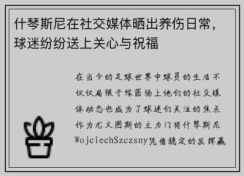 什琴斯尼在社交媒体晒出养伤日常，球迷纷纷送上关心与祝福